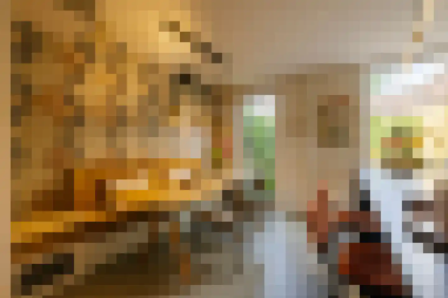 Sparrenstraat 32 Haarlem thumbnail 19