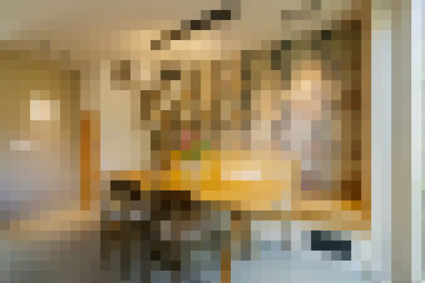 Sparrenstraat 32 Haarlem thumbnail 26