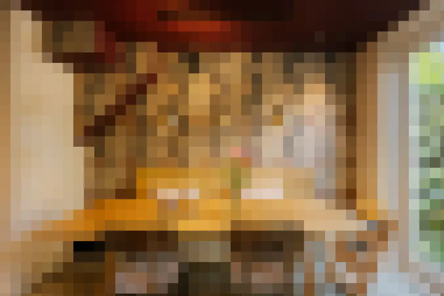 Sparrenstraat 32 Haarlem thumbnail 26