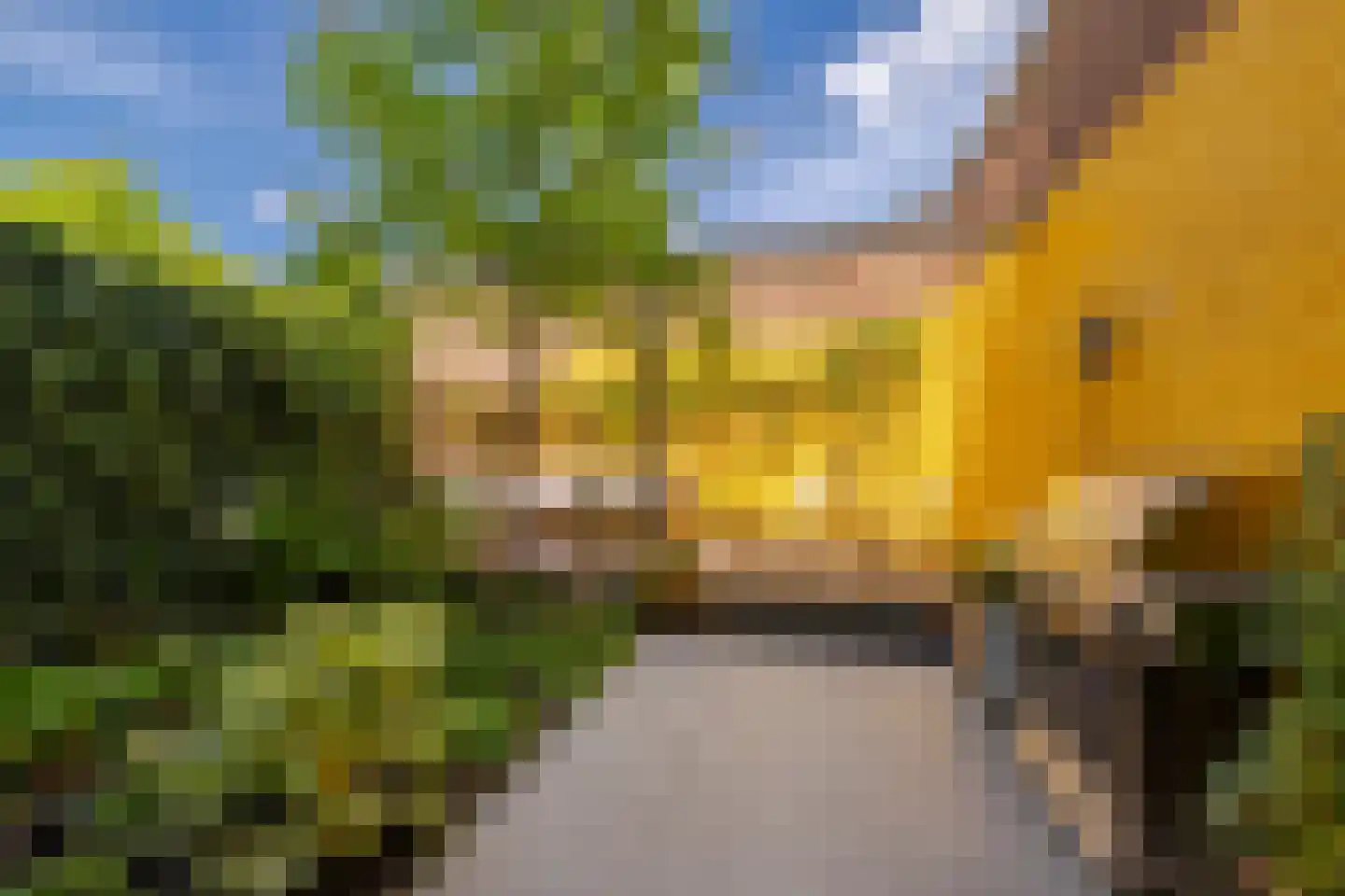 Sparrenstraat 32 Haarlem thumbnail 28