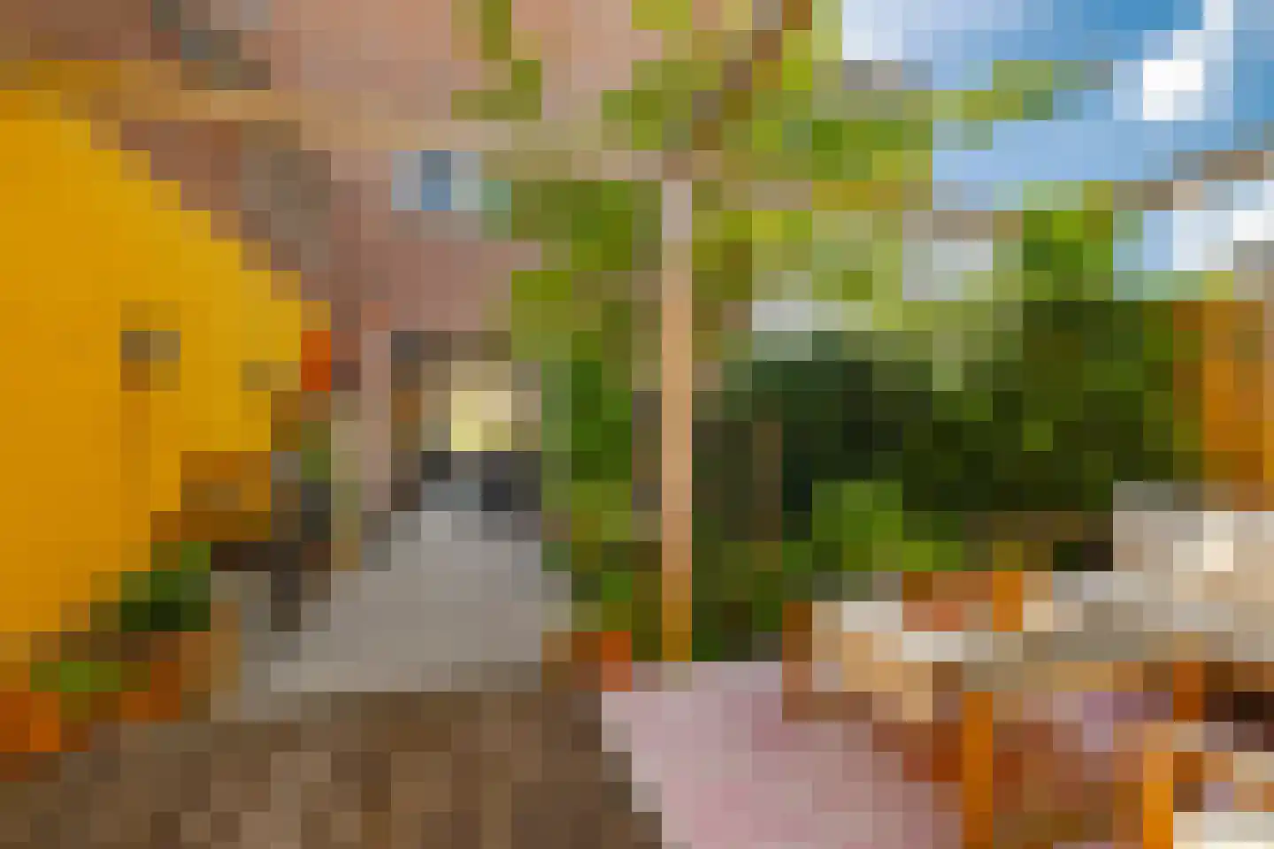 Sparrenstraat 32 Haarlem thumbnail 30