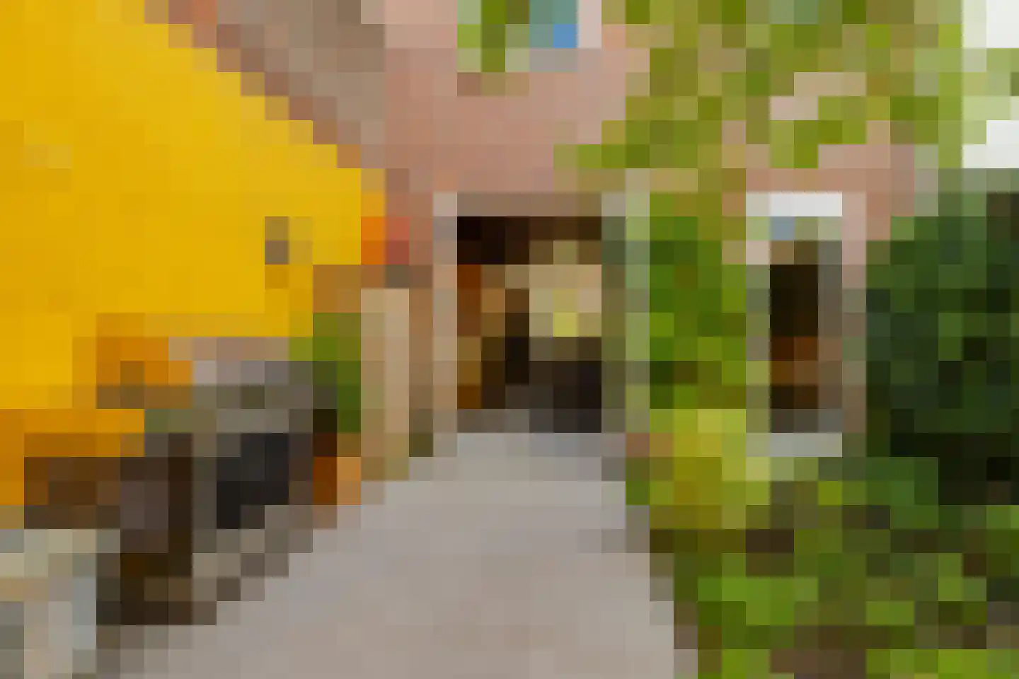 Sparrenstraat 32 Haarlem thumbnail 32