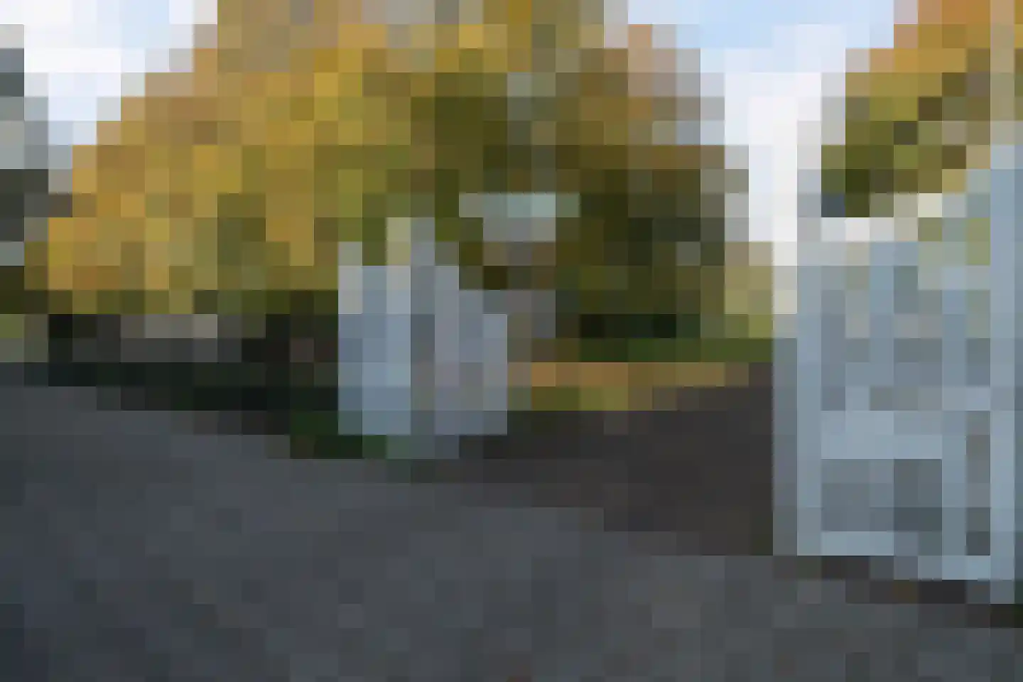 Sparrenstraat 32 Haarlem thumbnail 57
