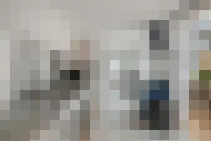Sparrenstraat 33 Tilburg thumbnail 13