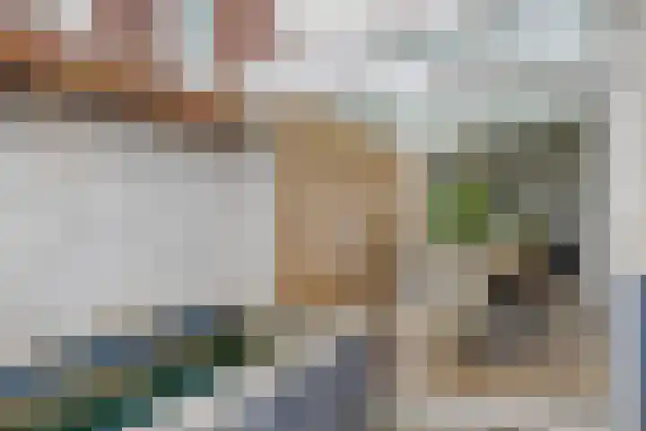 Sparrenstraat 33 Tilburg thumbnail 37