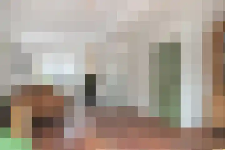 Sparrenstraat 33 Tilburg thumbnail 8