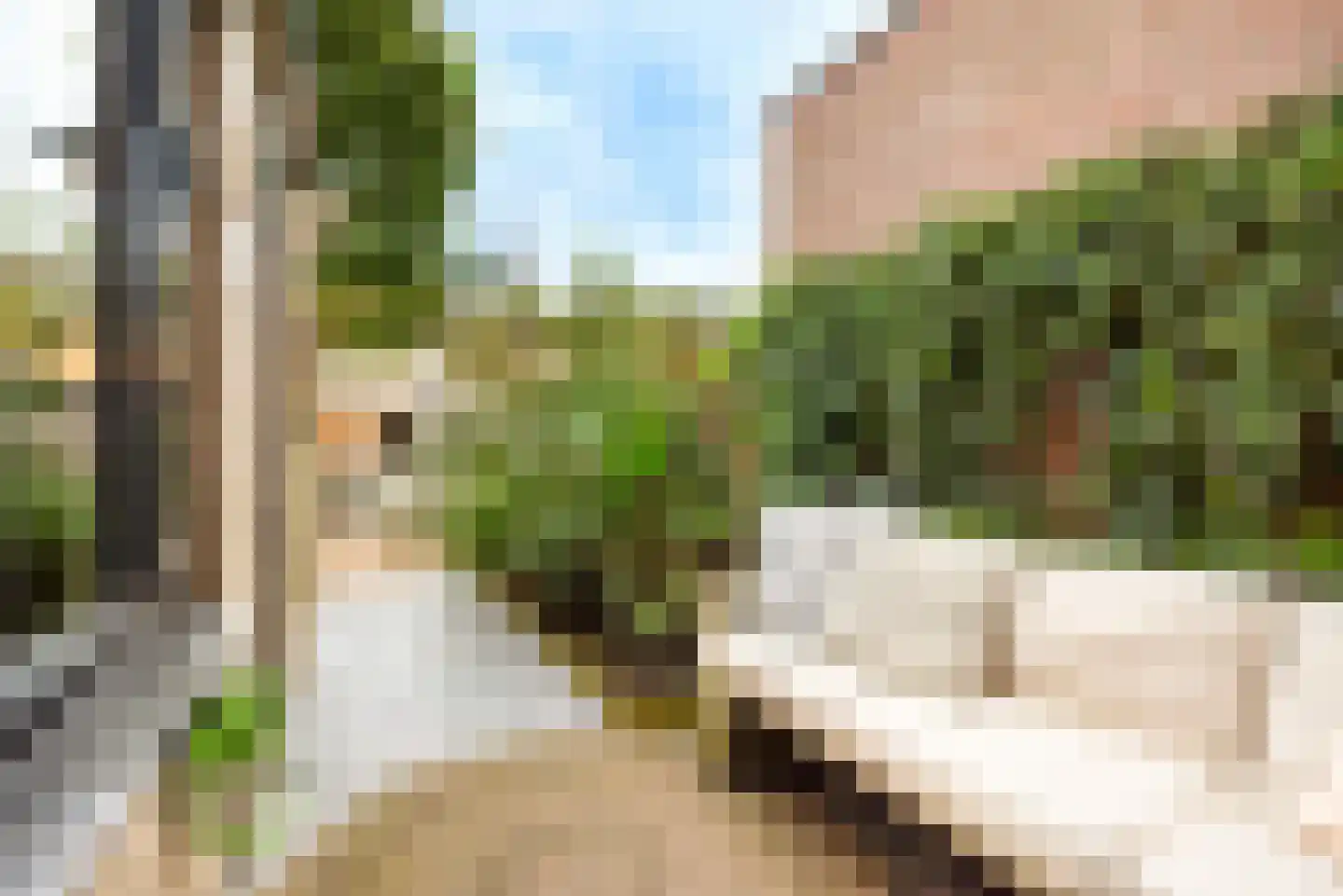 Sparrenstraat 35 IJmuiden thumbnail 35