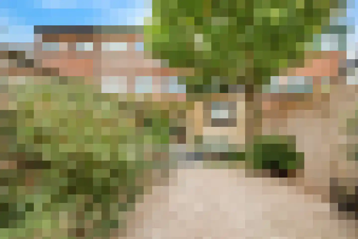 Sparrenstraat 35 IJmuiden thumbnail 43