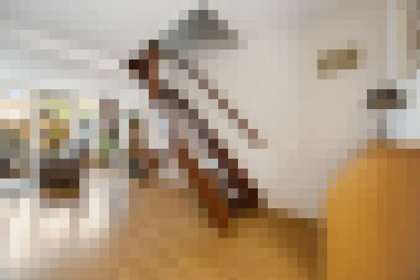 Sparrenstraat 6 Huissen thumbnail 12