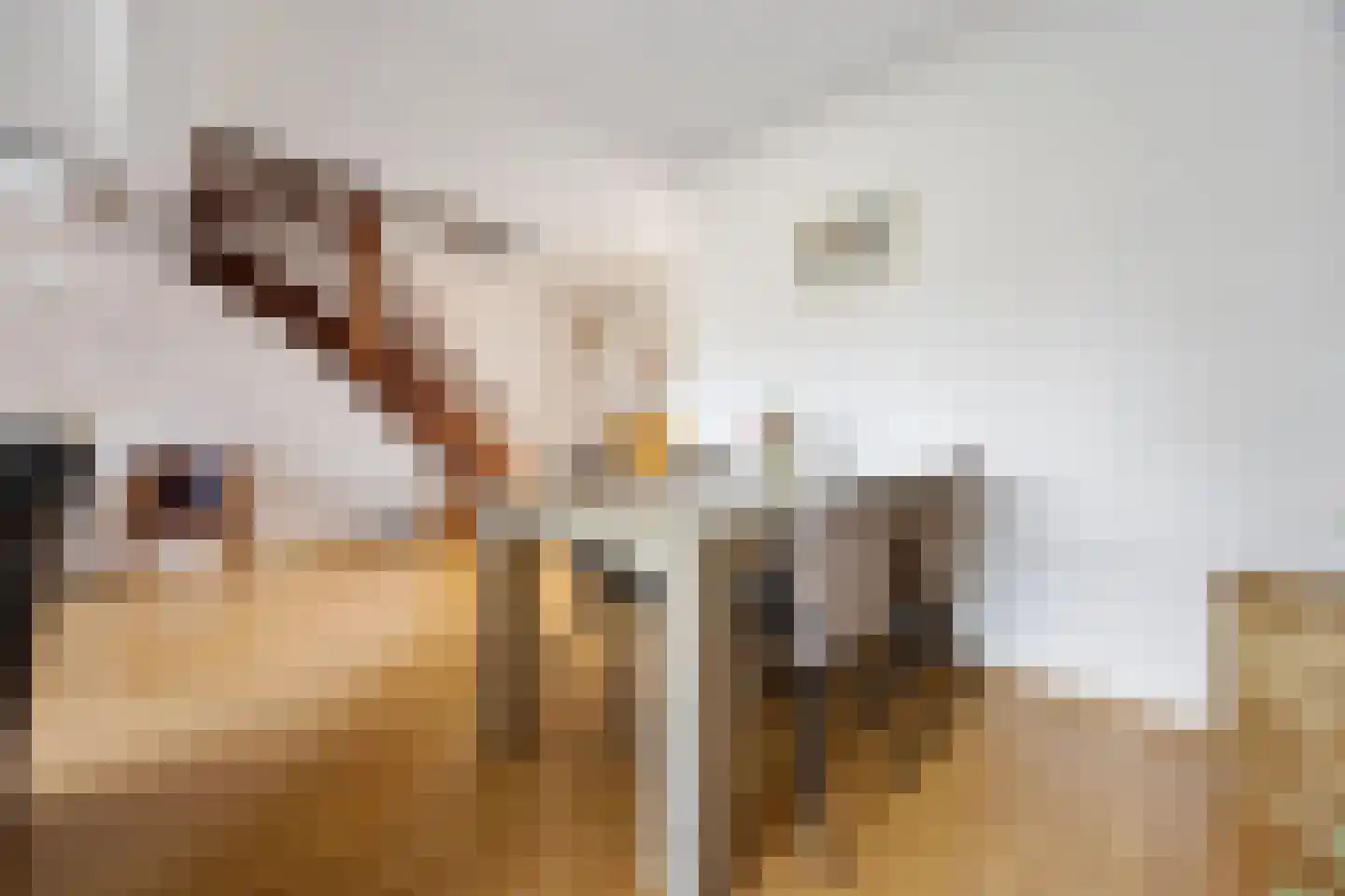Sparrenstraat 6 Huissen thumbnail 13