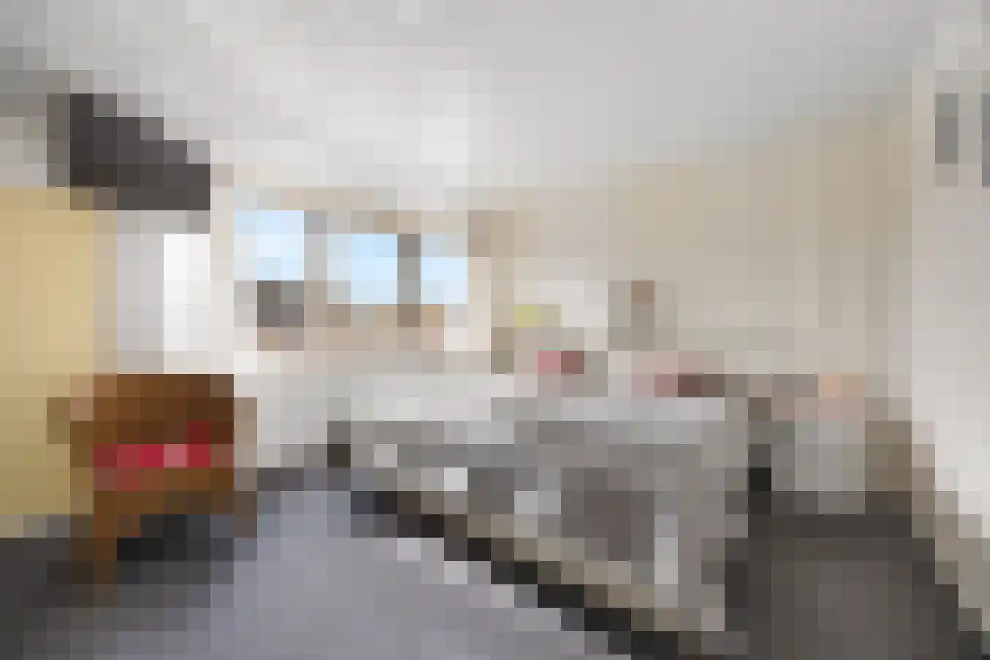 Sparrenstraat 6 Huissen thumbnail 22