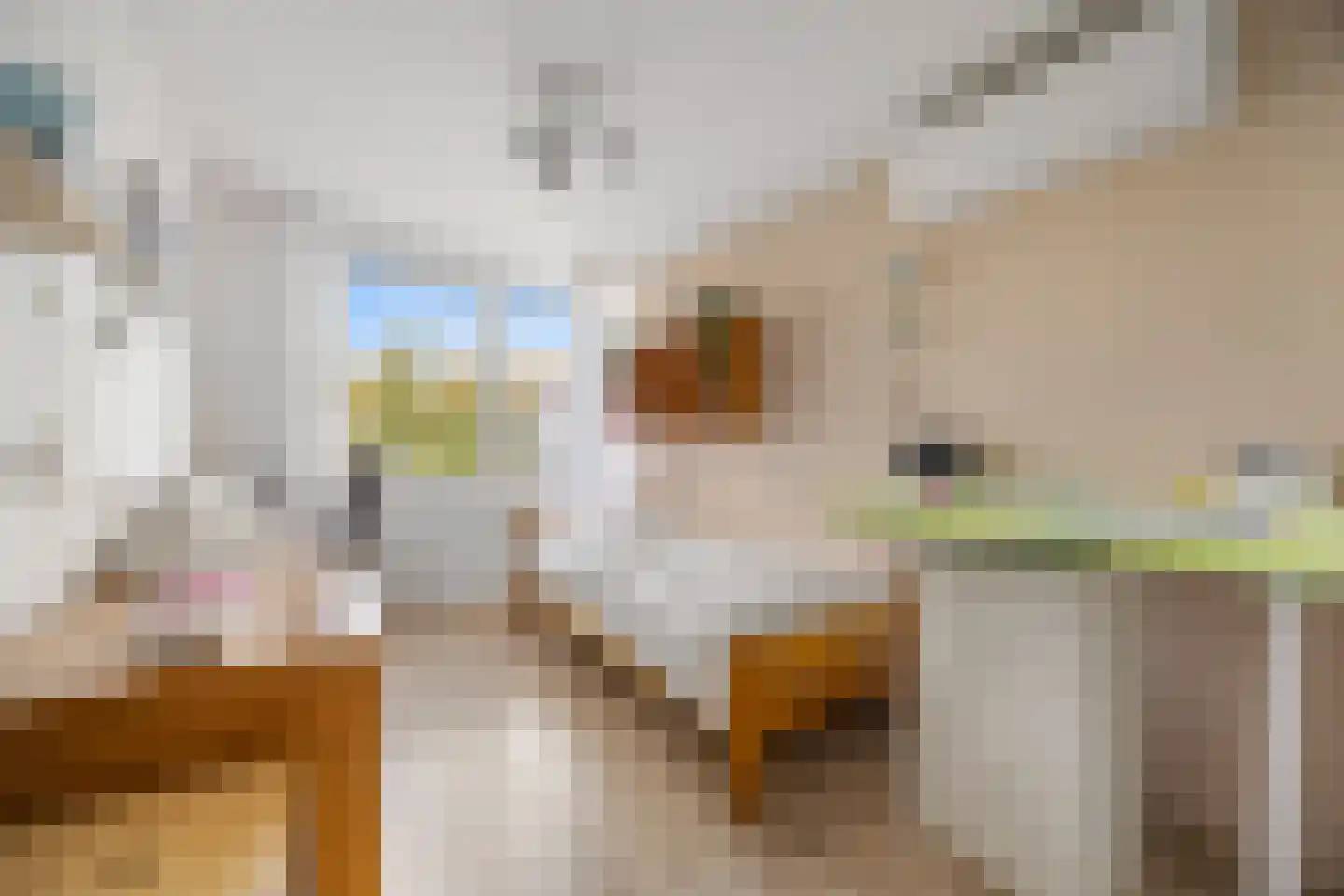 Sparrenstraat 6 Huissen thumbnail 24