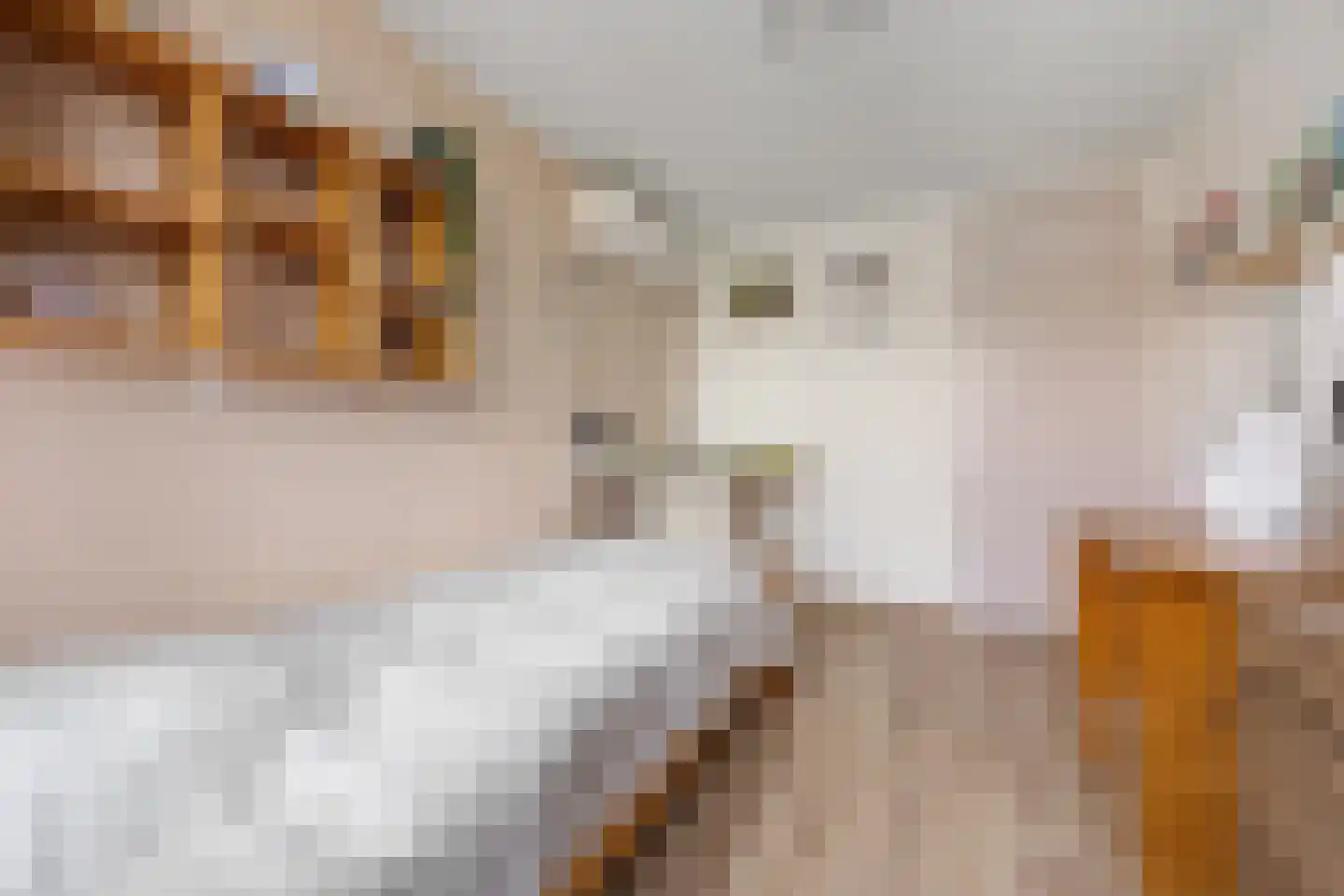 Sparrenstraat 6 Huissen thumbnail 25