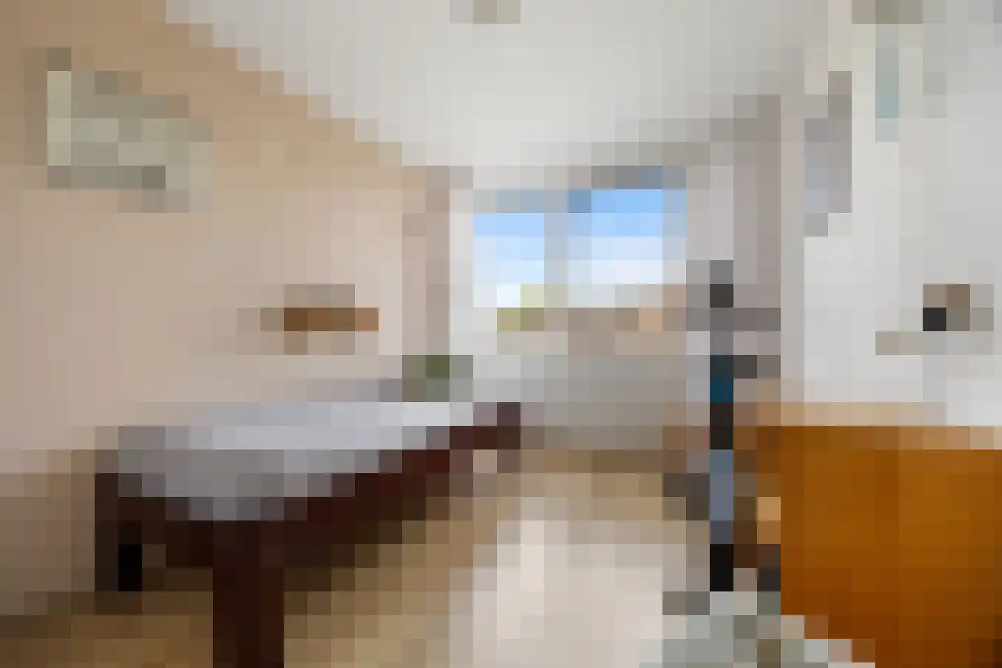 Sparrenstraat 6 Huissen thumbnail 26