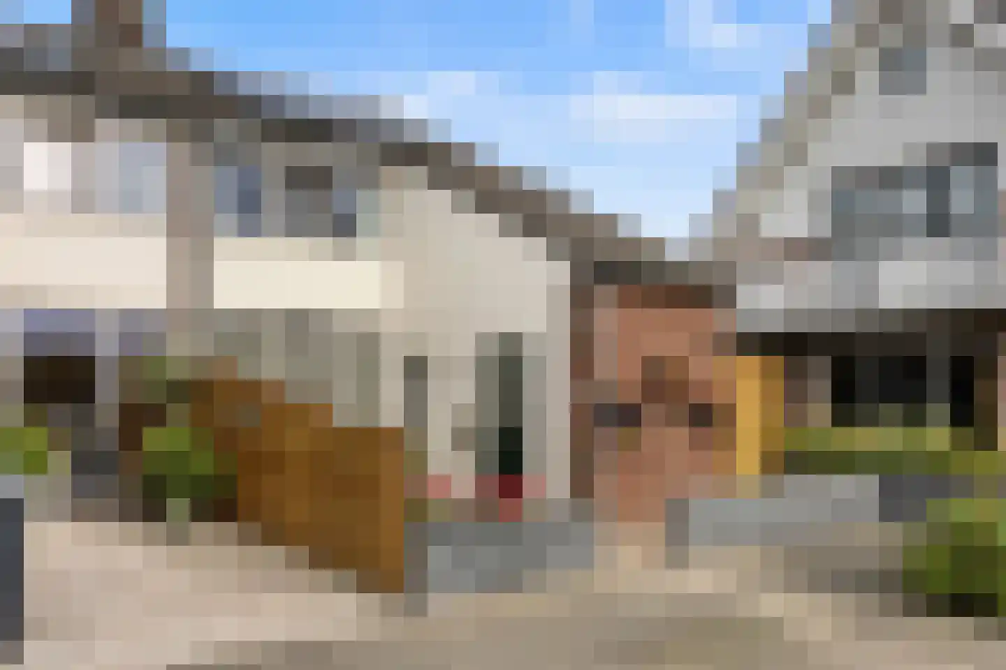 Sparrenstraat 6 Huissen thumbnail 29