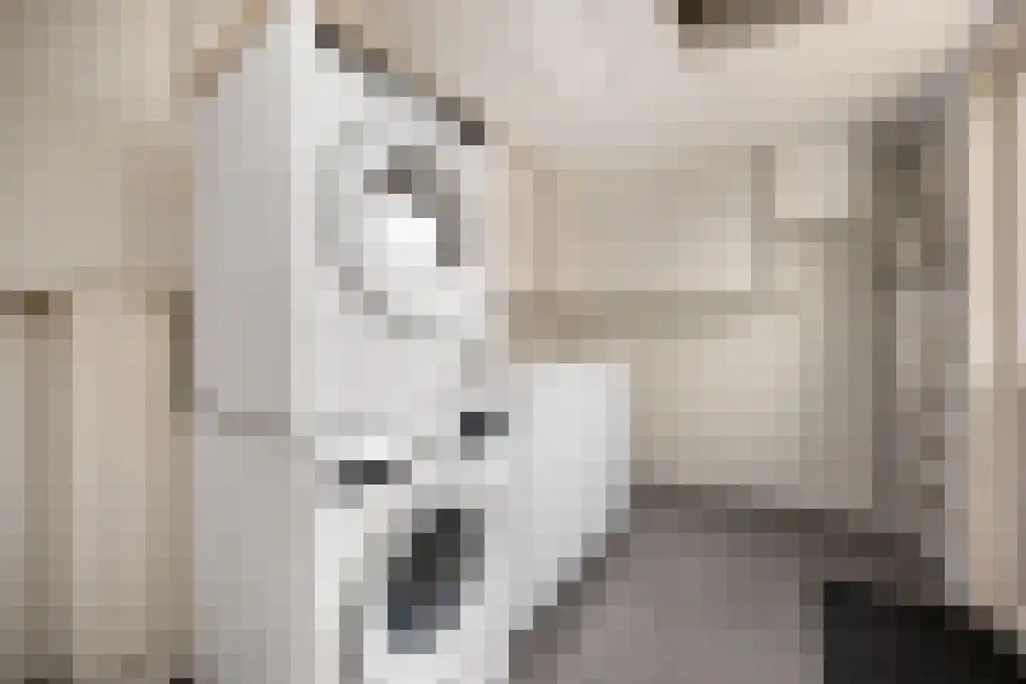 Sparrenstraat 6 Huissen thumbnail 8
