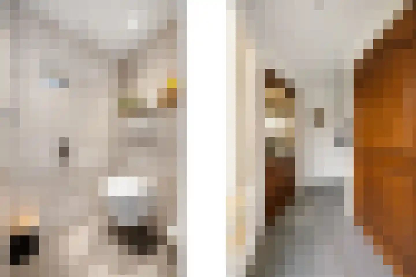 Sparrenstraat 6 Huissen thumbnail 9