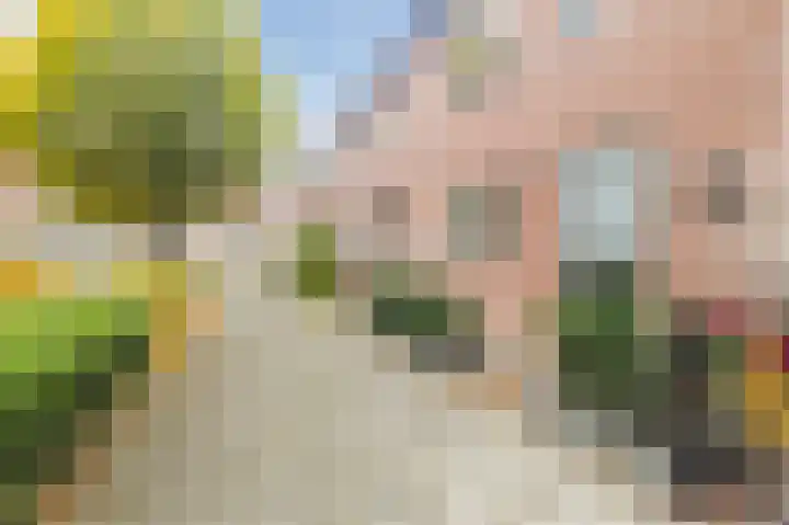 Sparrenstraat 6 Schoonhoven thumbnail 47