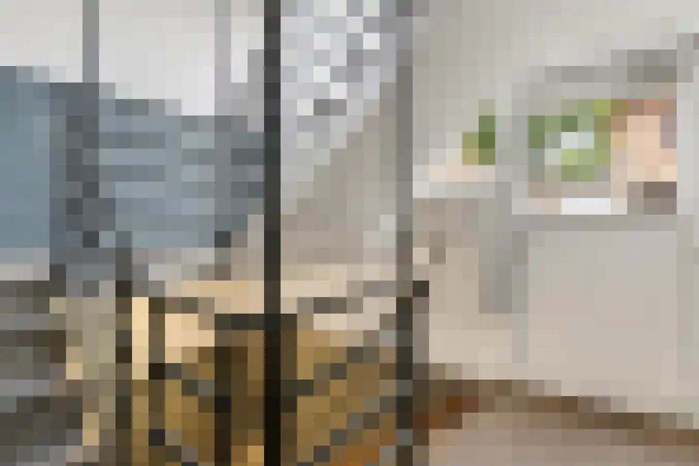 Sparrenstraat 8 IJmuiden thumbnail 31