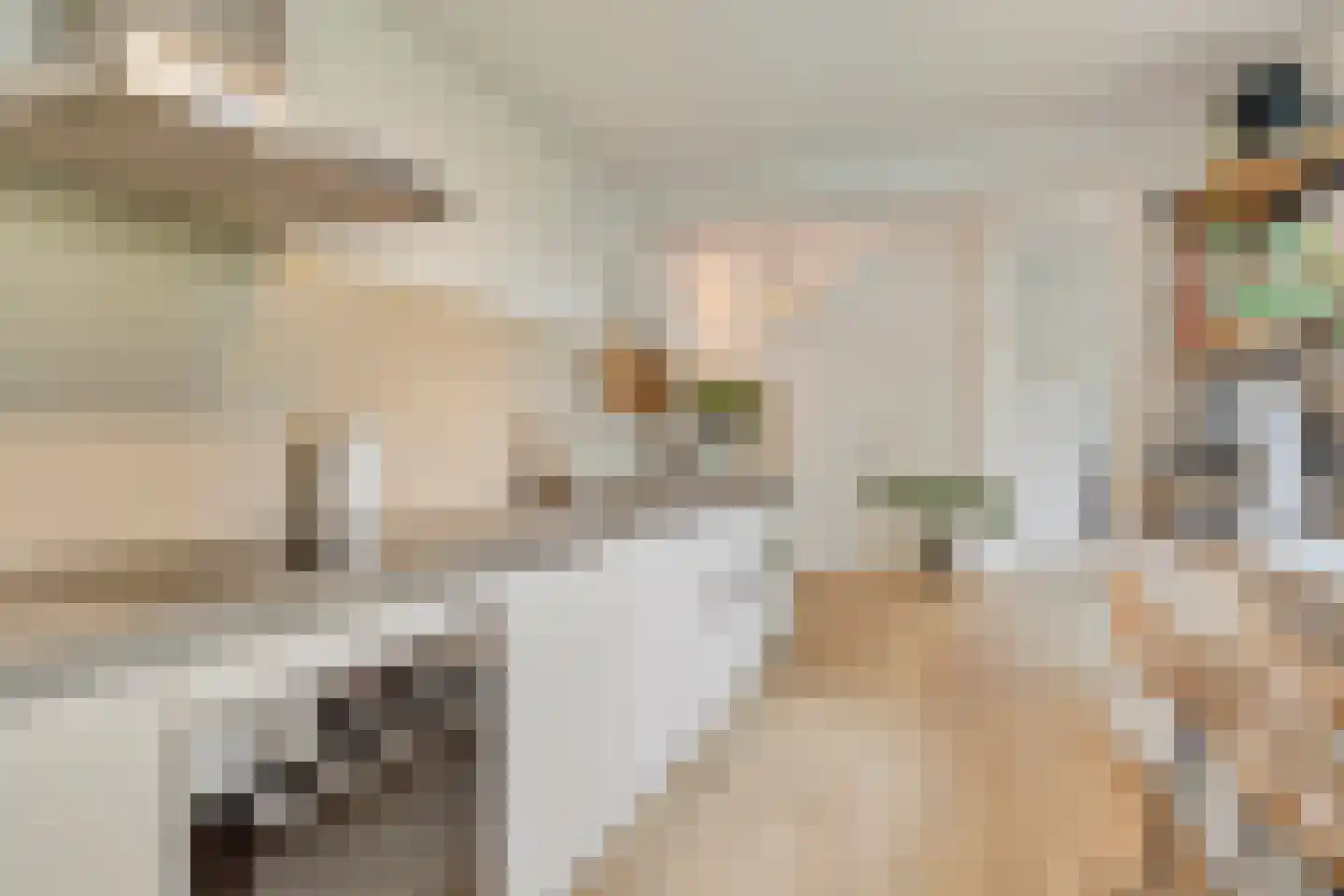 Sparrenstraat 9 Tilburg thumbnail 14
