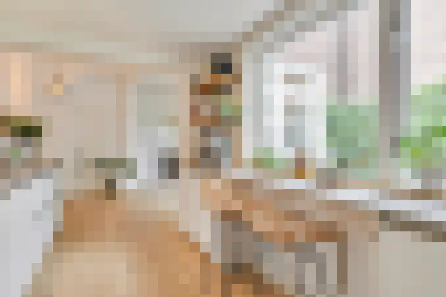 Sparrenstraat 9 Tilburg thumbnail 16