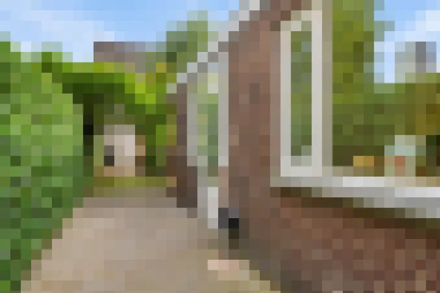 Sparrenstraat 9 Tilburg thumbnail 32