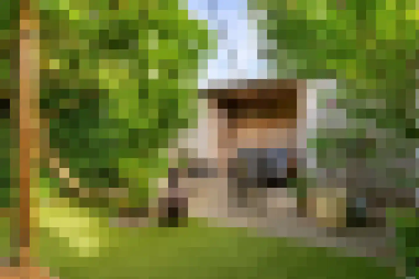 Sparrenstraat 9 Tilburg thumbnail 33