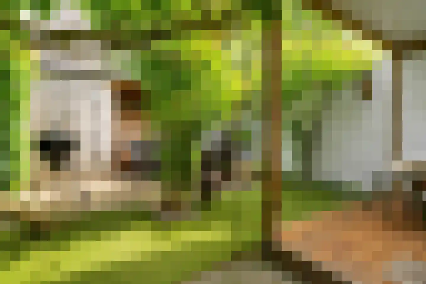 Sparrenstraat 9 Tilburg thumbnail 36