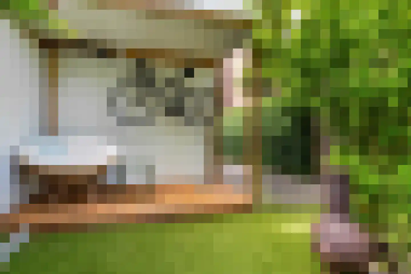 Sparrenstraat 9 Tilburg thumbnail 37