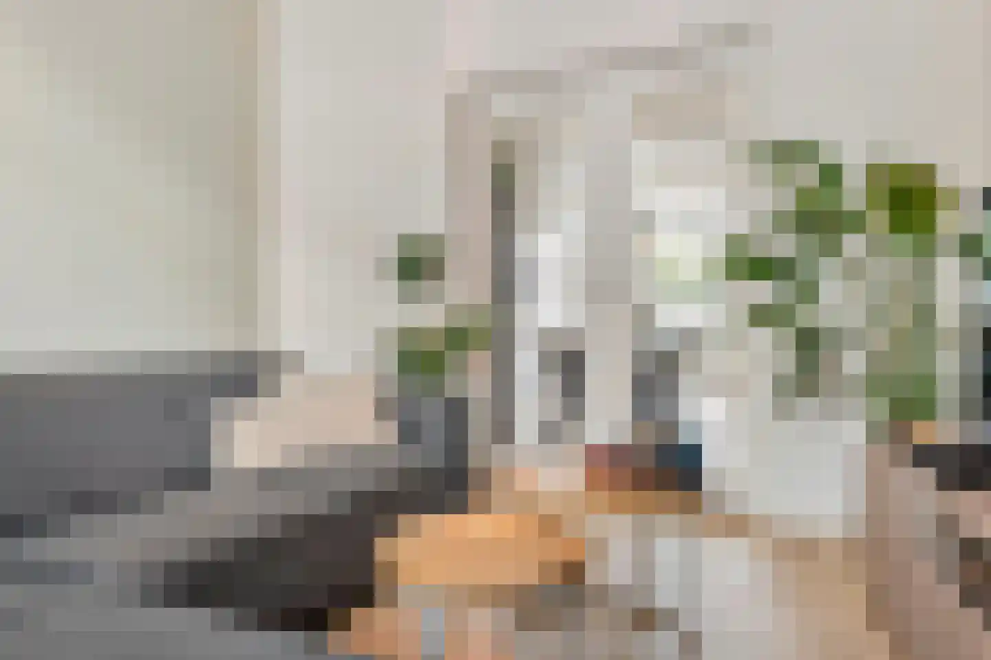Sparrenstraat 9 Tilburg thumbnail 4