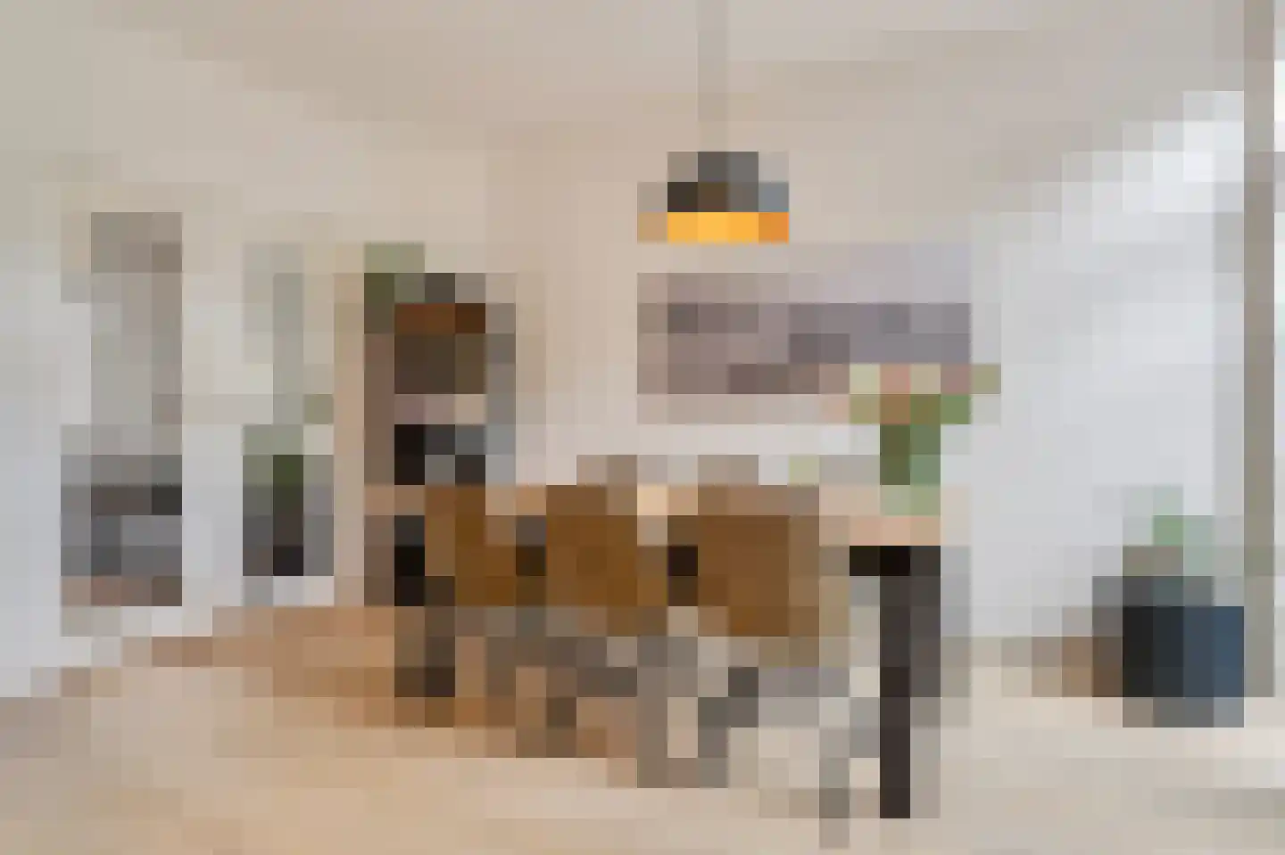 Sparrenstraat 9 Tilburg thumbnail 8