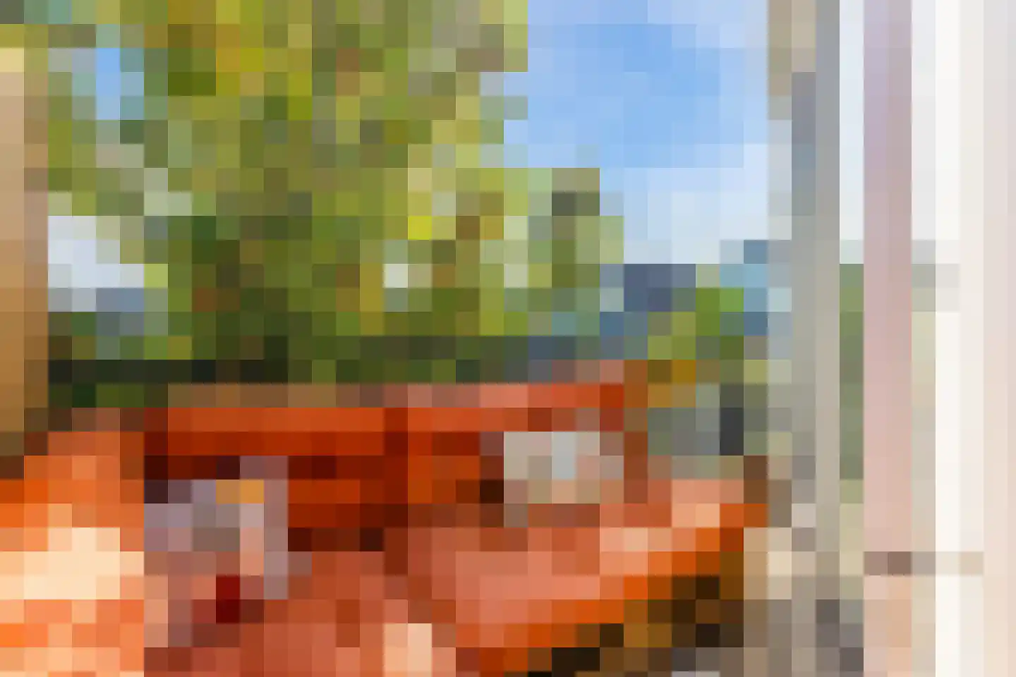 Sparrenweg 39 H Amsterdam thumbnail 6
