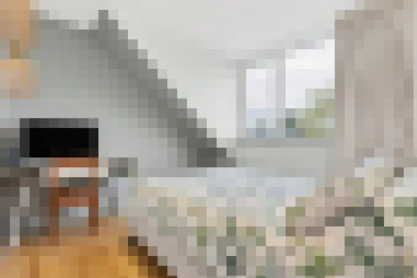 Sparresholm 104 Hoofddorp thumbnail 36