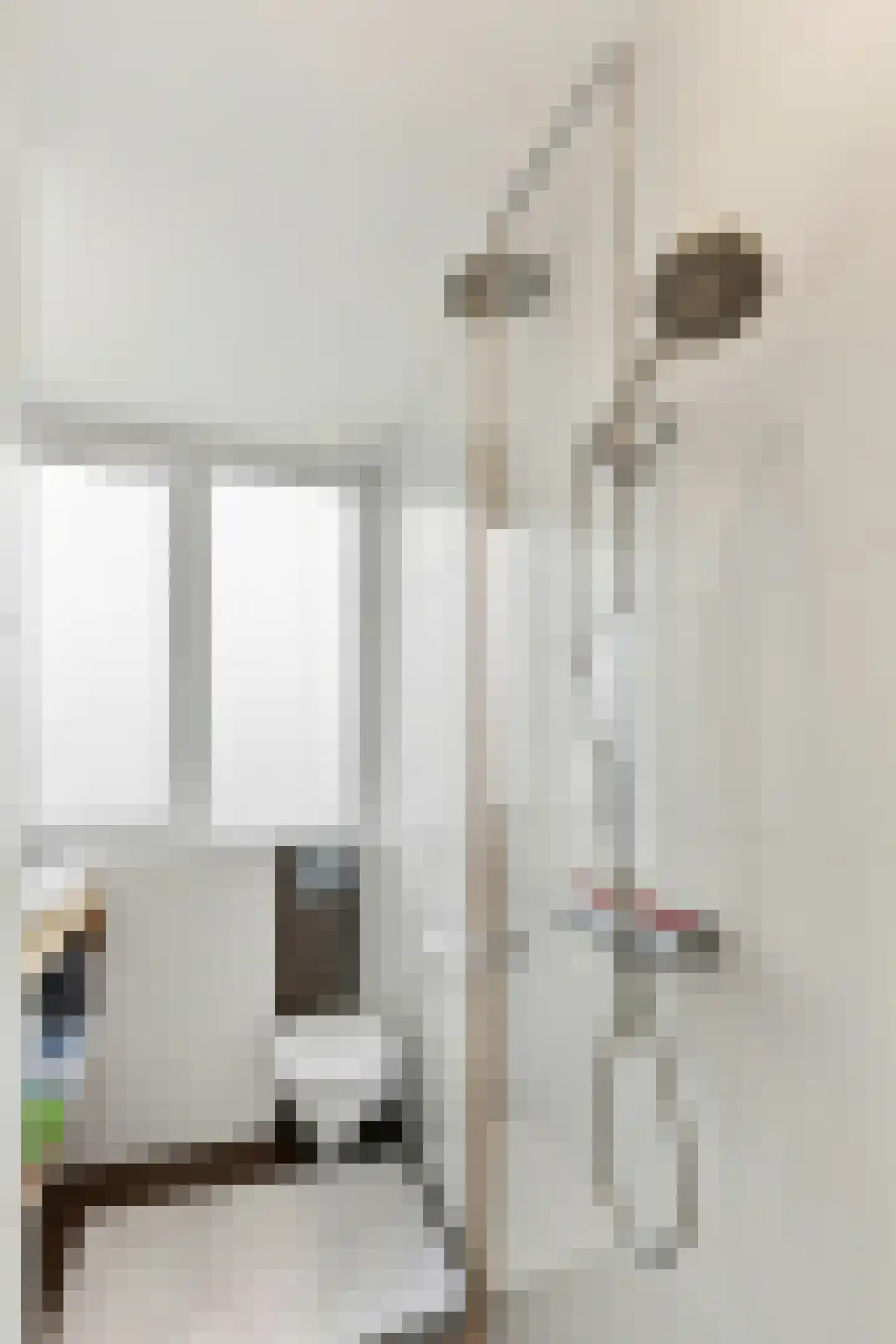 Sparresholm 104 Hoofddorp thumbnail 40