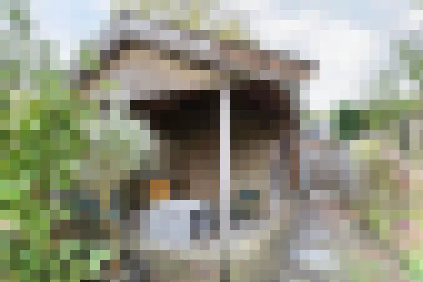 Sparresholm 104 Hoofddorp thumbnail 45