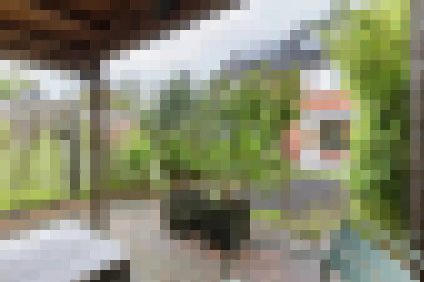 Sparresholm 104 Hoofddorp thumbnail 46