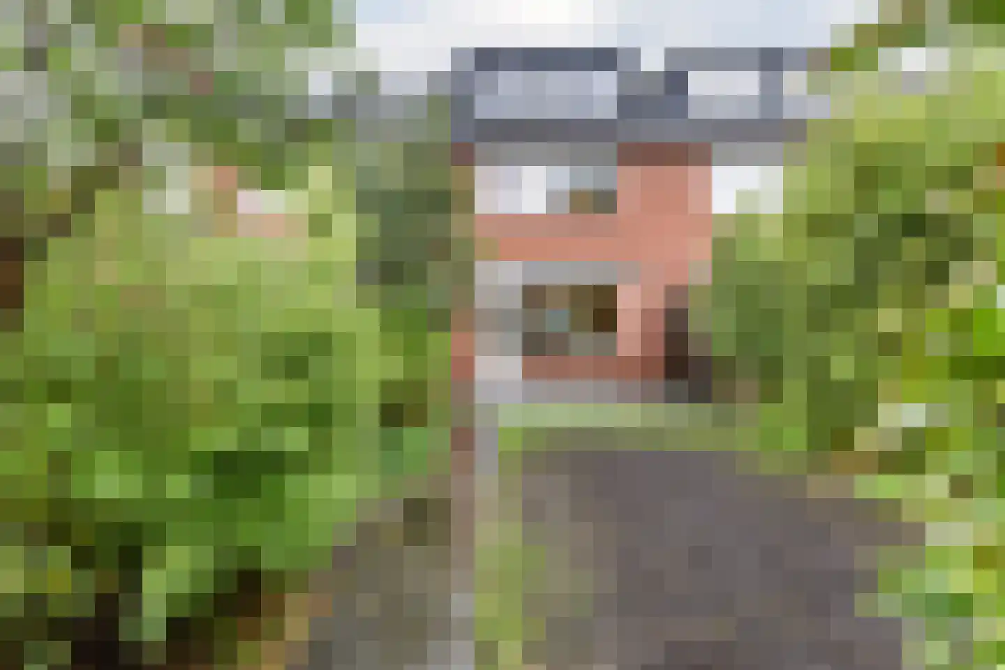 Sparresholm 104 Hoofddorp thumbnail 49