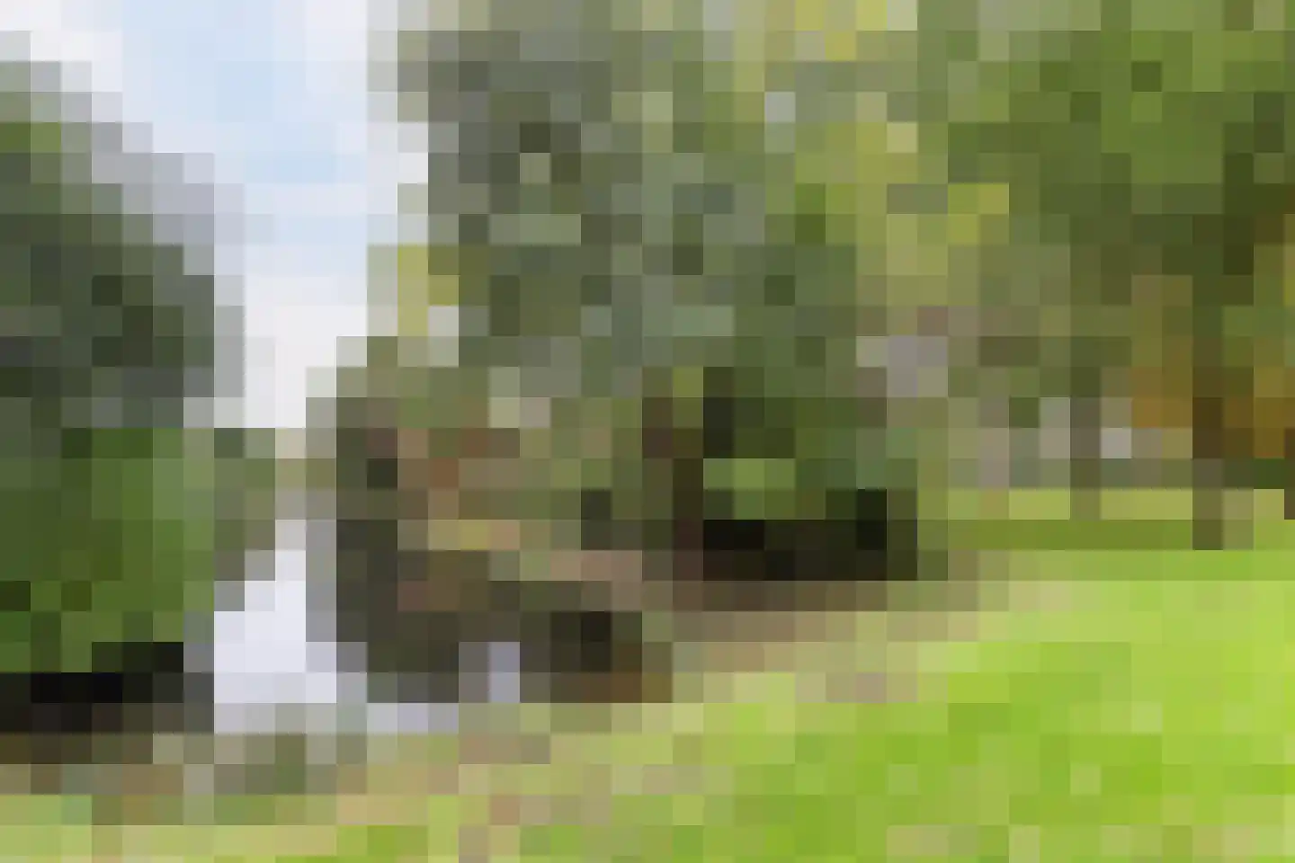 Sparresholm 104 Hoofddorp thumbnail 55