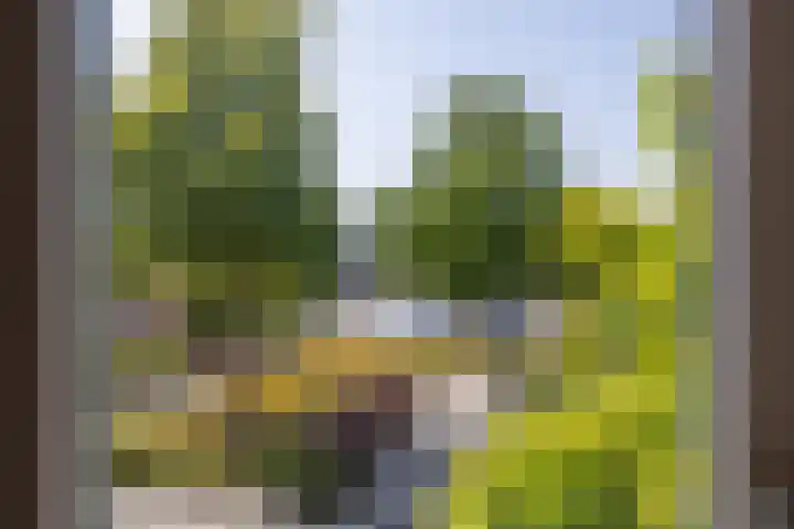 Sparresholm 117 Hoofddorp thumbnail 31