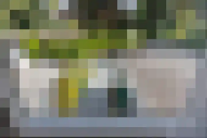 Sparresholm 117 Hoofddorp thumbnail 34