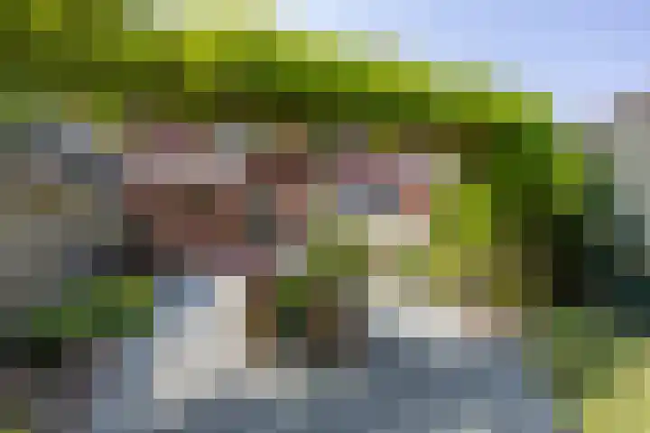 Sparresholm 117 Hoofddorp thumbnail 52