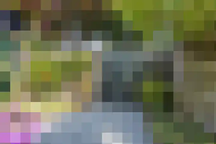 Sparresholm 117 Hoofddorp thumbnail 53