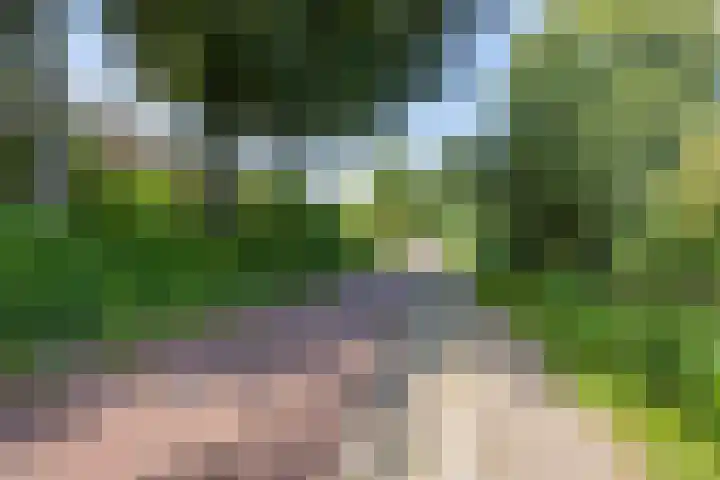 Sparresholm 117 Hoofddorp thumbnail 58