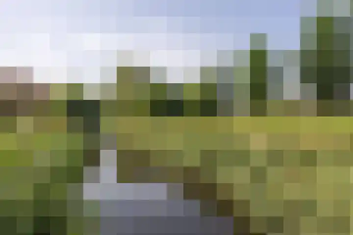 Sparresholm 117 Hoofddorp thumbnail 59