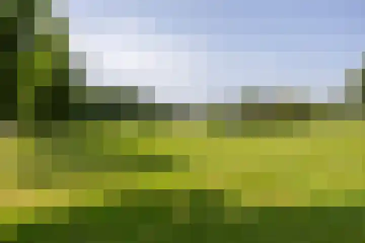 Sparresholm 117 Hoofddorp thumbnail 60