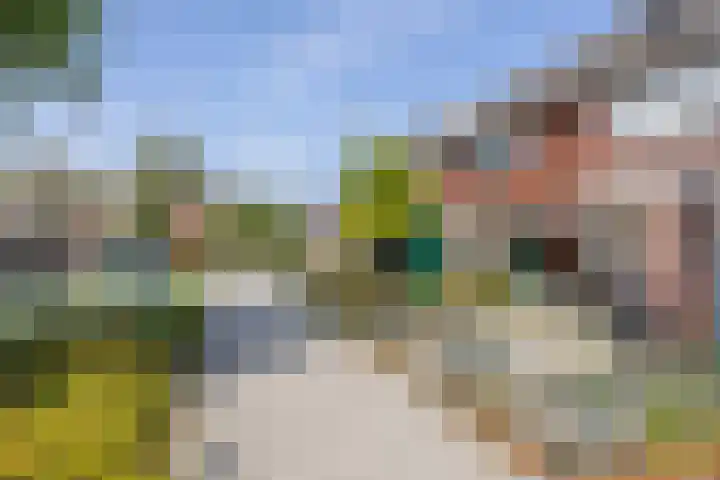 Sparresholm 117 Hoofddorp thumbnail 7