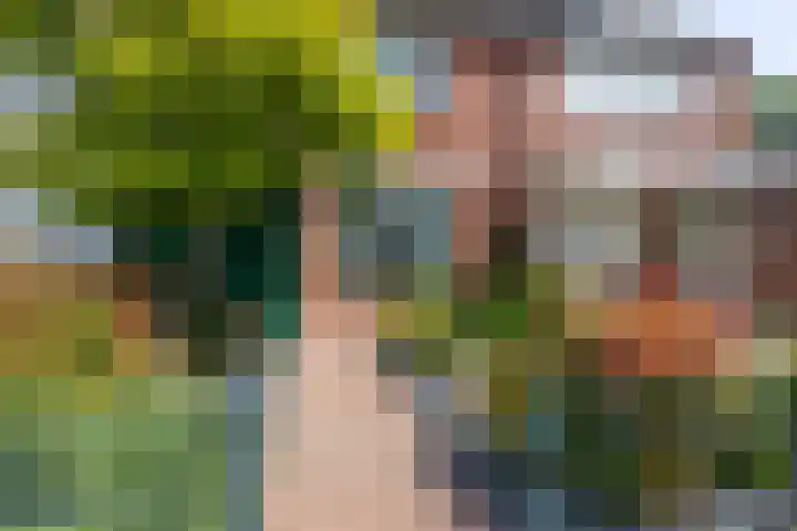 Sparresholm 117 Hoofddorp thumbnail 9