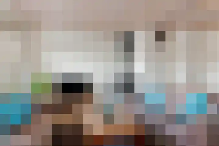 Sparresholm 123 Hoofddorp thumbnail 10
