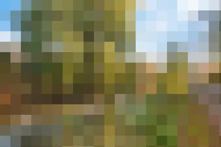 Sparresholm 123 Hoofddorp thumbnail 45