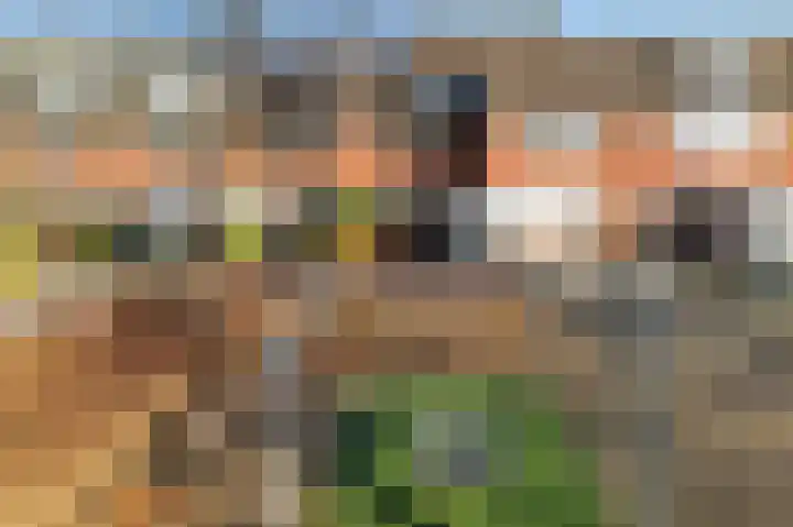 Sparresholm 123 Hoofddorp thumbnail 5